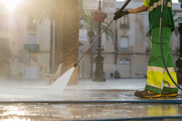 Best Sidewalk and Walkway Cleaning  in East Niles, CA
